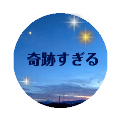 自然のめぐみたち