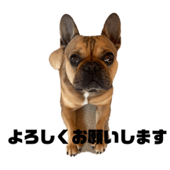 エルヴィスとロック