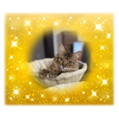 ラテモカちゃんねる(2022/12②)