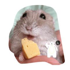 もちくんにちじょう❗️