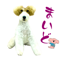 レオンとサラのテリア兄妹関西弁スタンプ♡