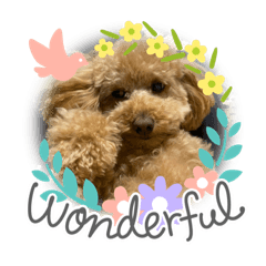 Moco時々フレンド