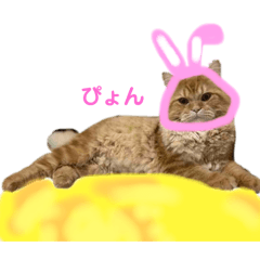 レオくんスタンプ！七夕バージョン