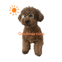 えもとまるです。