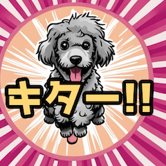 使えるトイプードリング