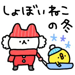 しょぼいねこの冬