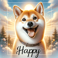 「柴犬の日常」