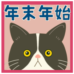 ハチワレぶーにゃんの年末年始(修正版)