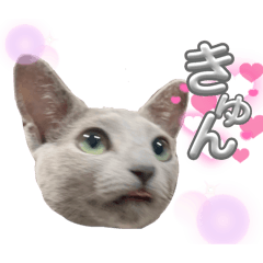 スウィーティとsweetな日常スタンプ