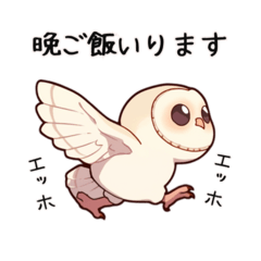 【家族連絡】メンフクロウの赤ちゃん