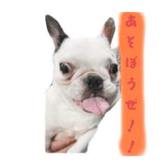 白米のLINEスタンプ