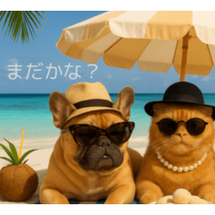 Mofurettas Everyday Summer Vol.1