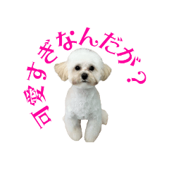 可愛いすたんぷぷ