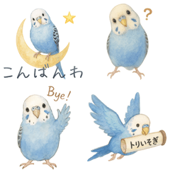 ずっと使える♡ほんわかブルーのセキセイ