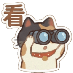 Funny White Cat Single Word Special