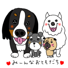 ウル目のパグちゃま