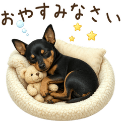 一年中使える♪ミニチュアピンシャー