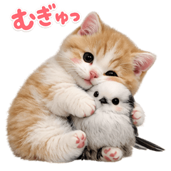シマエナガと子猫♡日常スタンプ