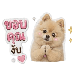 Nongmalilovely