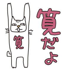 ばんざい猫 筧用