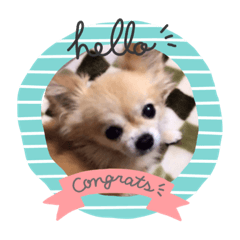 ぺろぺろぺろたん