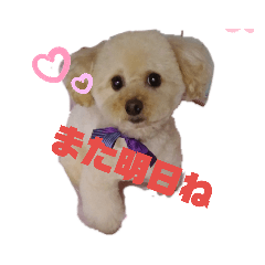 モカちゃんのスタンプ2