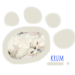 くるむ
