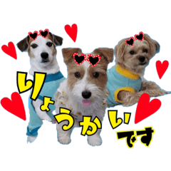 クレア・ベック・ショコラと時々ママ♡