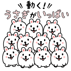 動く！うさぎがいっぱい
