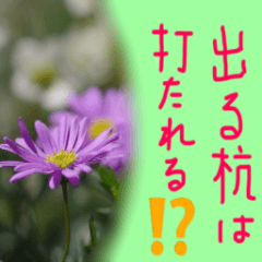 日本のコトワザ