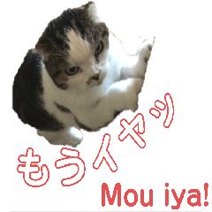 仕事で使える猫スタンプ2