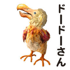 ドードーさん