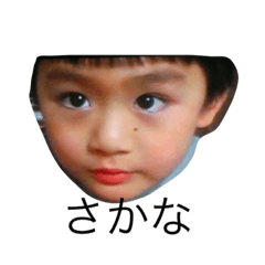 おいしいさかな