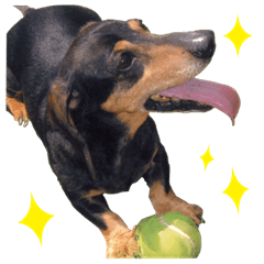 ダイくんのスタンプ