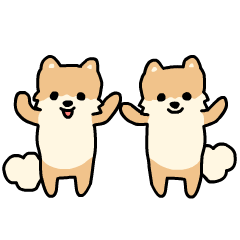 小さなポメラニアン