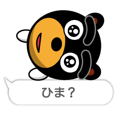 黒眉毛の熊さん１８