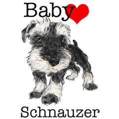 Baby Schnauzer