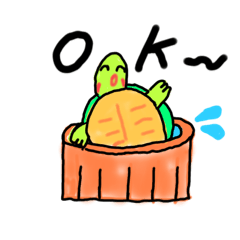 絢爛かめ子のevery day