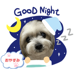 ほのぼのほのん日常