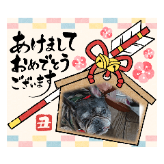 しんちゃんの正月