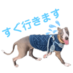 イタグレのばななのスタンプ