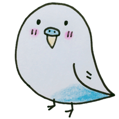 いつもインコたちと一緒に3