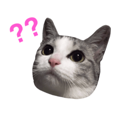 ちびたちのちびたち