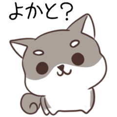 博多弁のしばいぬ