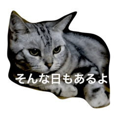 つぶやき とむさん