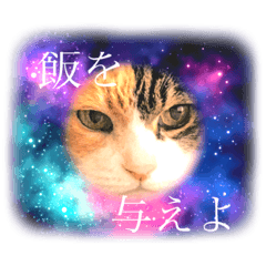 モカしか勝たん〜2021〜