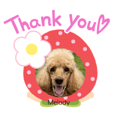 メロディちゃん！