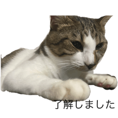 山田海&エリザベス