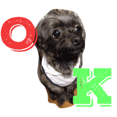 いろいろなりく