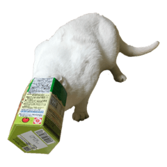 ここちゃんとあるくん